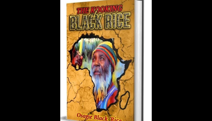 Black Rice: A memoir of Nigerian reggae, culture, and survival