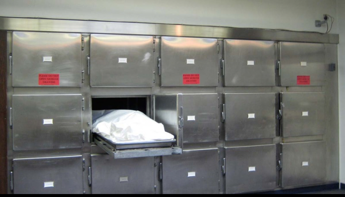 Mortuary, a place of solemnity, turned into chamber of organ-harvesting