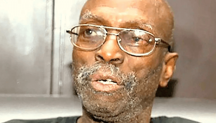 Emeritus Professor Biodun Jeyifo