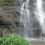 Waterfall tourism records strong movement